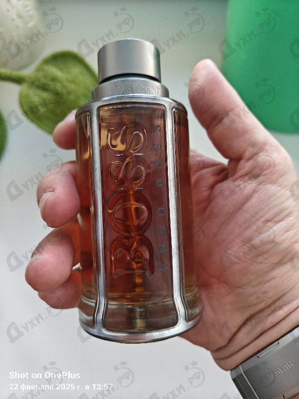 Купить Hugo Boss The Scent