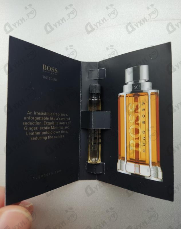 Купить The Scent от Hugo Boss