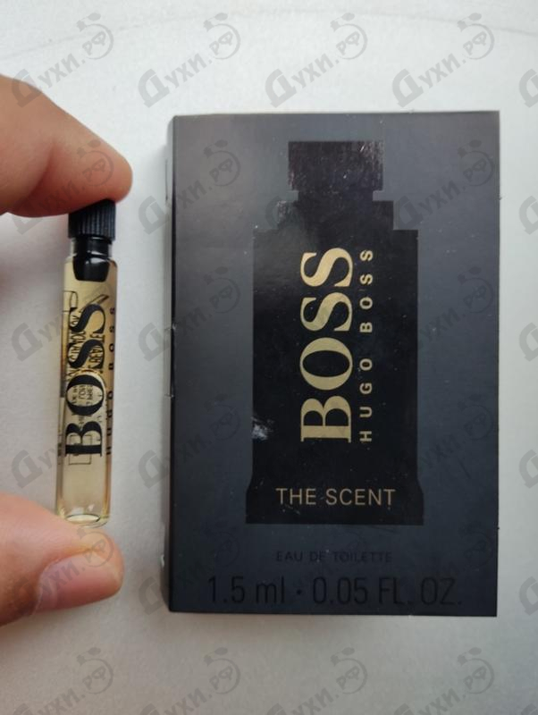 Купить Hugo Boss The Scent