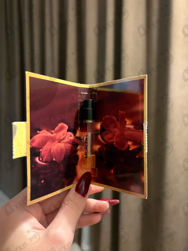 Духи Honey Aoud от Montale