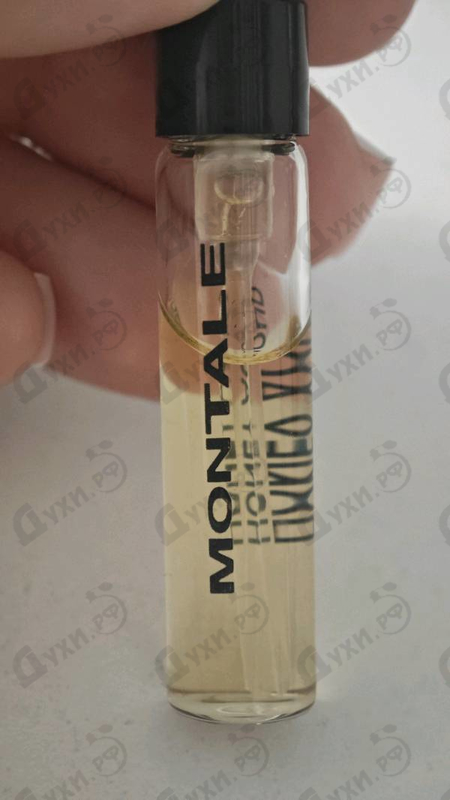Купить Honey Aoud от Montale