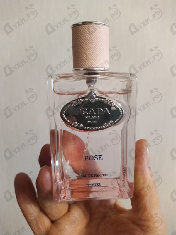 Духи Infusion De Rose от Prada