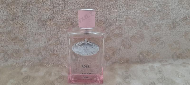 Парфюмерия Prada Infusion De Rose