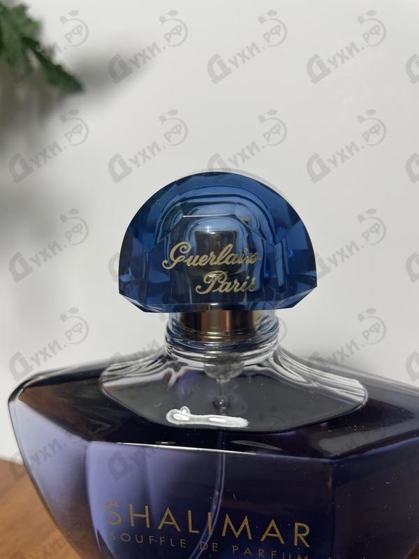Купить Shalimar Souffle De Parfum от Guerlain