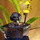 Отзыв Guerlain Shalimar Souffle De Parfum