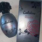 Парфюм Gres Cabotine Rosalie