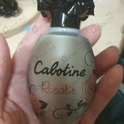 Парфюм Gres Cabotine Rosalie