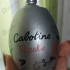 Отзывы Gres Cabotine Rosalie