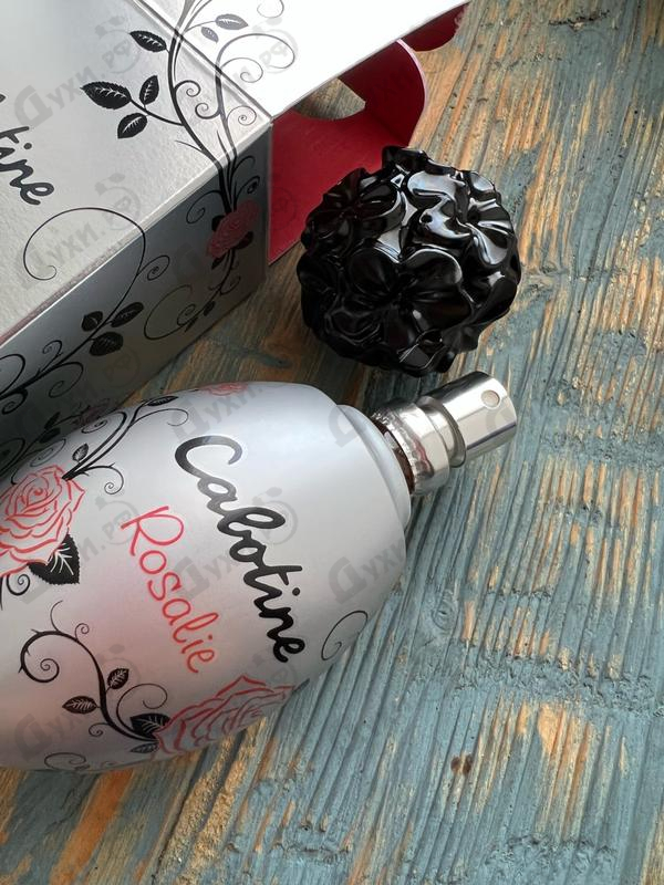 Купить Cabotine Rosalie от Gres Отзывы Gres Cabotine Rosalie