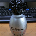 Парфюм Gres Cabotine Rosalie