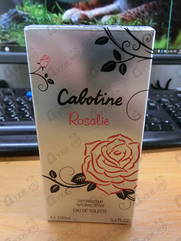 Купить Cabotine Rosalie от Gres