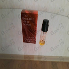 Отзыв Escentric Molecules Volume 1: Intelligence & Fantasy