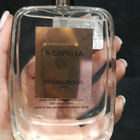 Отзывы Roos & Roos A Capella