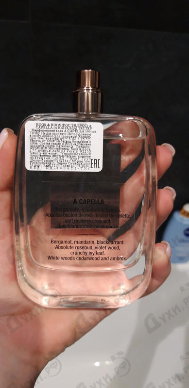 Отзыв Roos & Roos A Capella