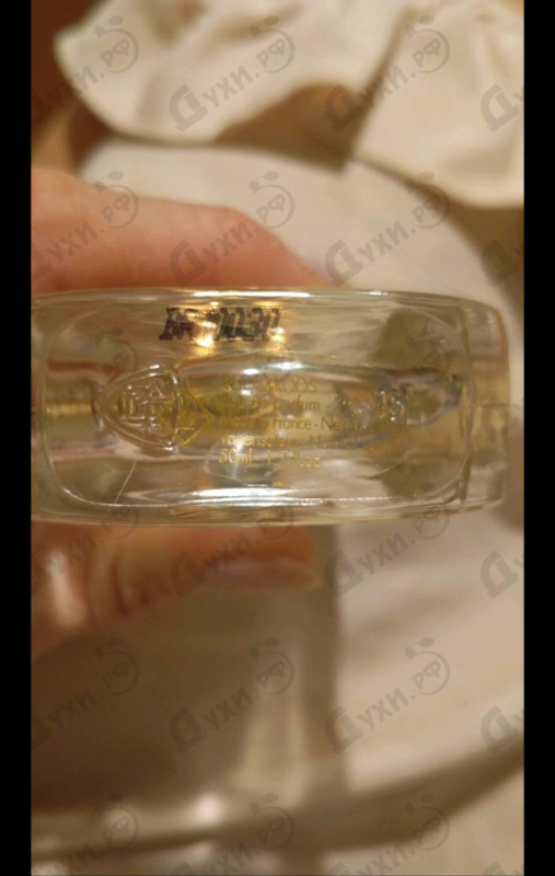 Купить Bloody Rose от Roos & Roos