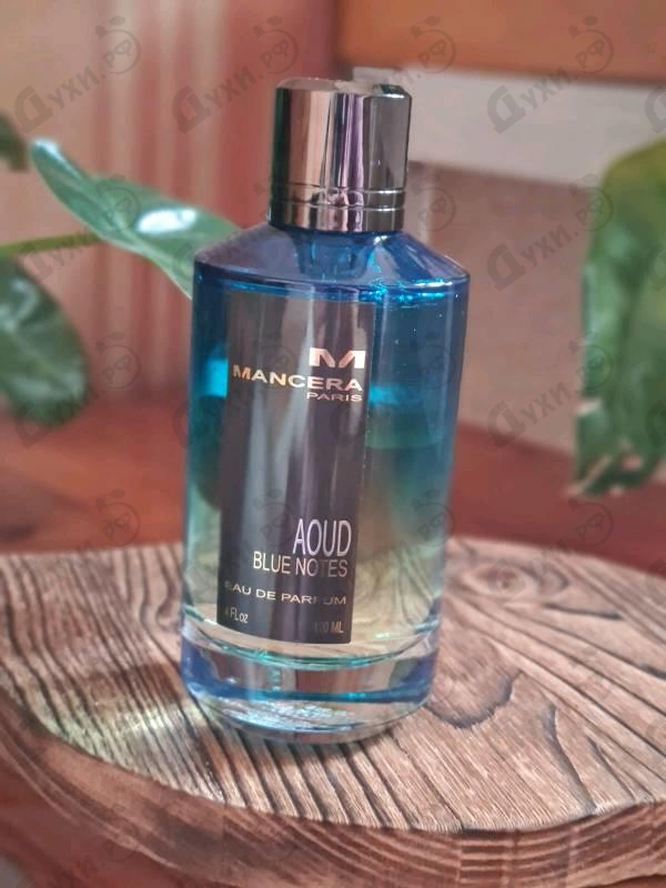 Духи Aoud Blue Notes от Mancera