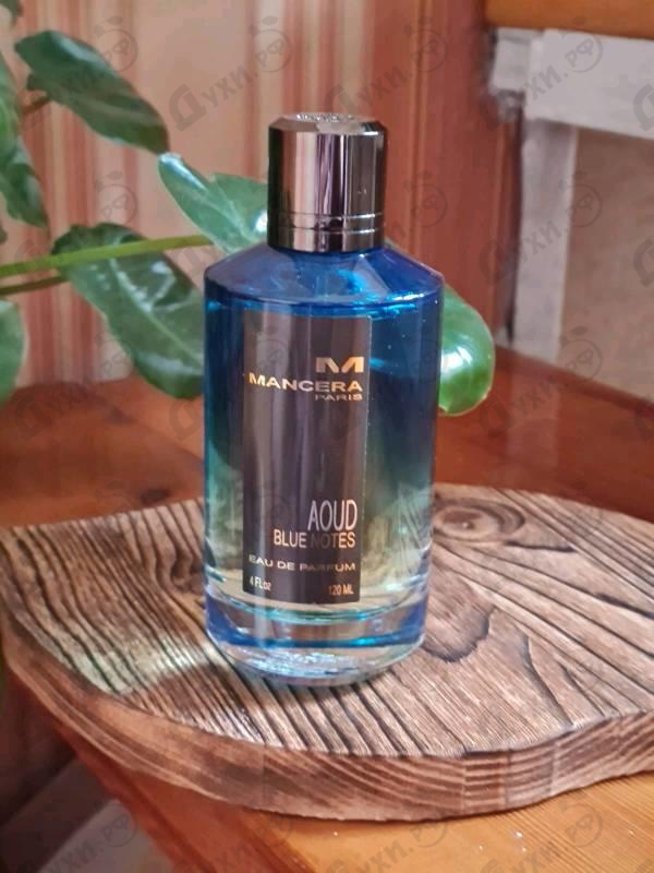Купить Aoud Blue Notes от Mancera Отзывы Mancera Aoud Blue Notes