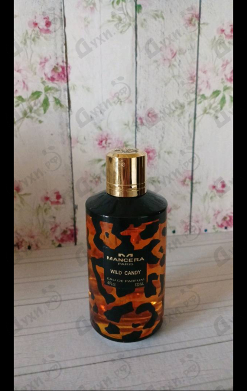 Купить Wild Candy от Mancera
