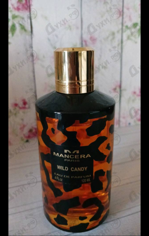 Купить Mancera Wild Candy