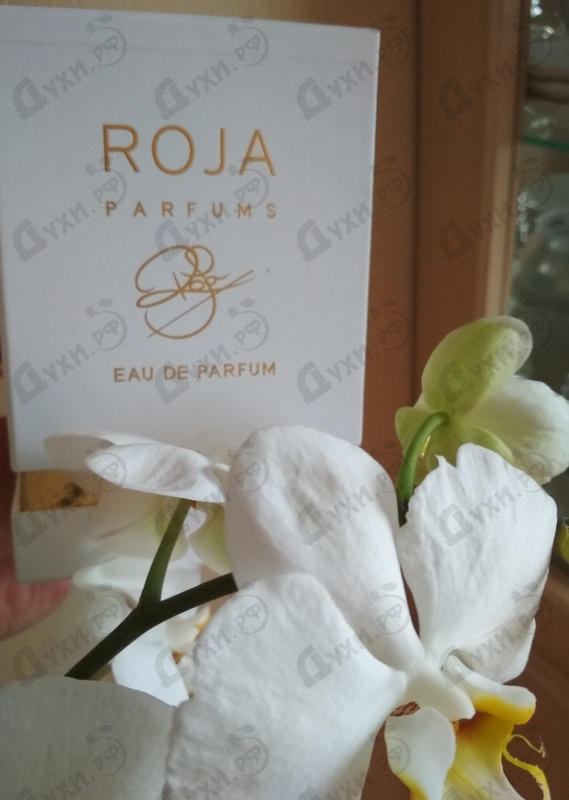 Купить Danger от Roja Dove