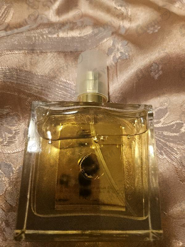 Купить Scandal от Roja Dove