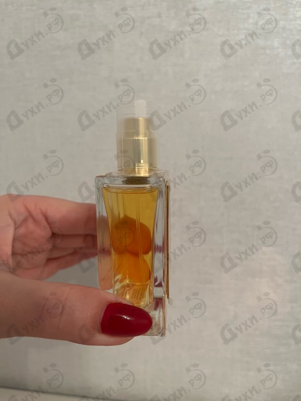 Купить Scandal от Roja Dove