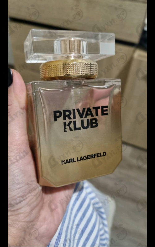 Купить Private Klub от Lagerfeld