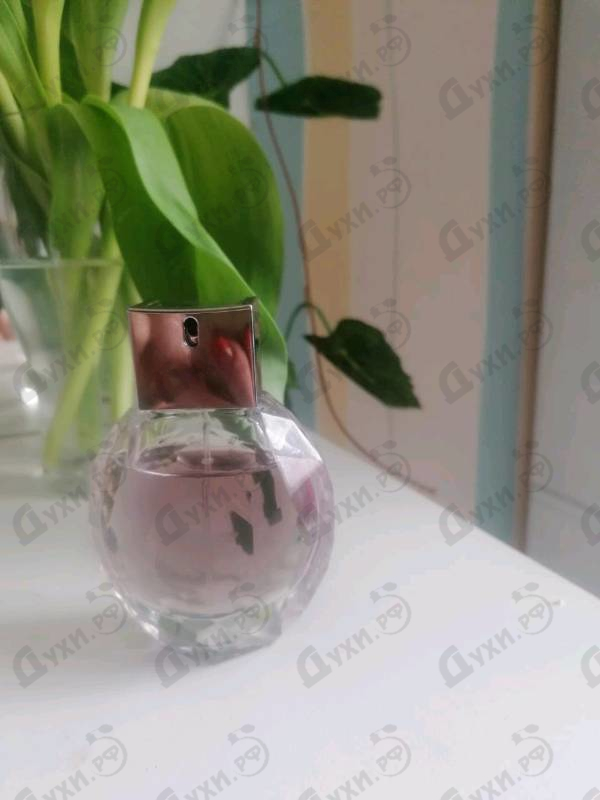 Парфюмерия Emporio Diamonds Violet от Giorgio Armani Отзывы Giorgio Armani Emporio Diamonds Violet