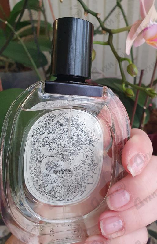 Парфюмерия Florabellio от Diptyque