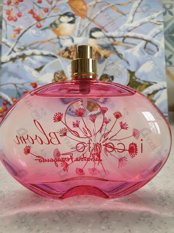 Купить Salvatore Ferragamo Incanto Bloom (2014)