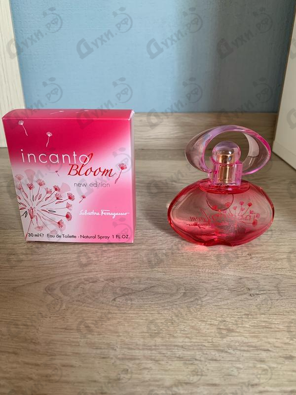 Духи Incanto Bloom (2014) от Salvatore Ferragamo Отзыв Salvatore Ferragamo Incanto Bloom (2014)
