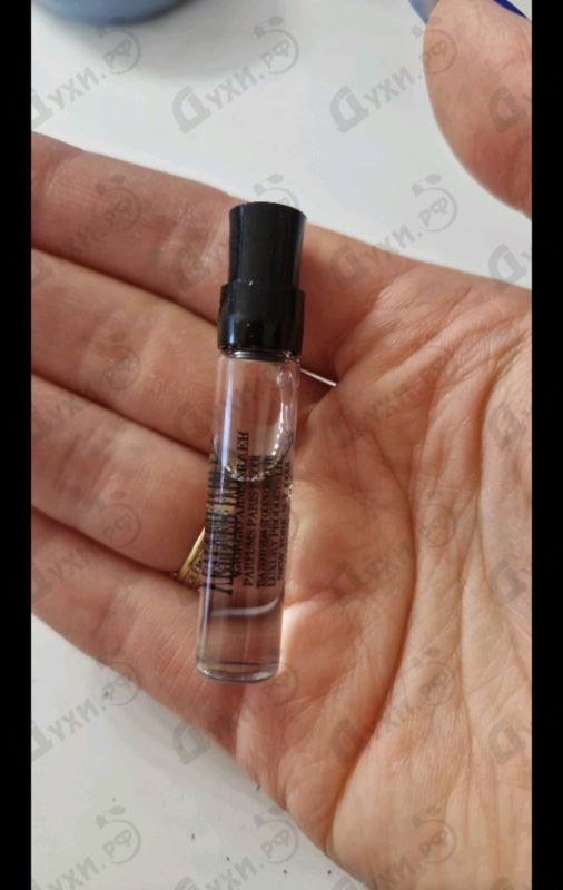 Купить Prive Vetiver D'hiver (Babylone) от Giorgio Armani