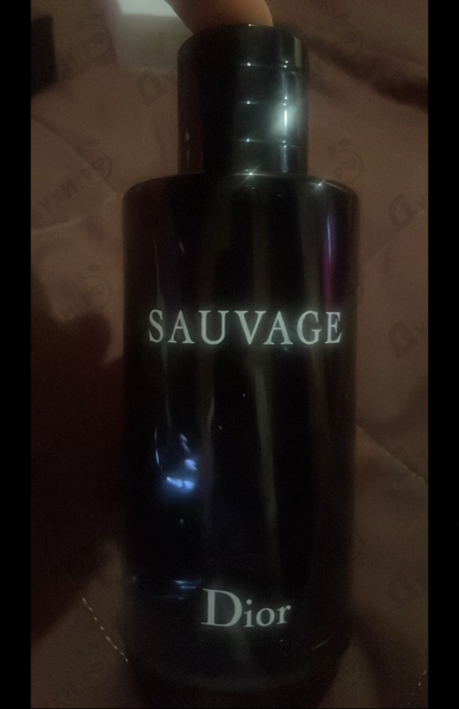 Отзывы Christian Dior Sauvage 2015
