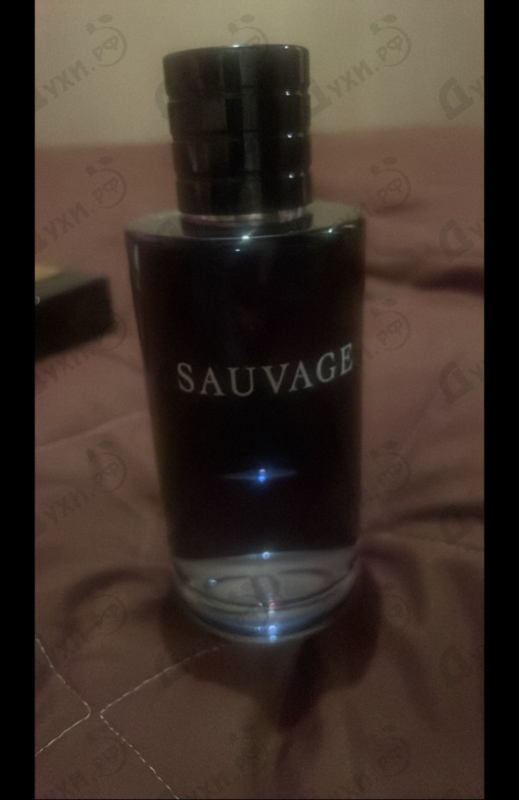 Отзыв Christian Dior Sauvage 2015