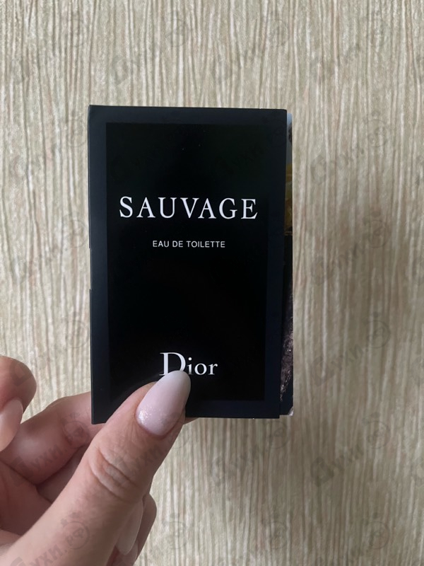 Отзыв Christian Dior Sauvage 2015