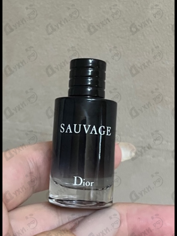Купить Sauvage 2015 от Christian Dior