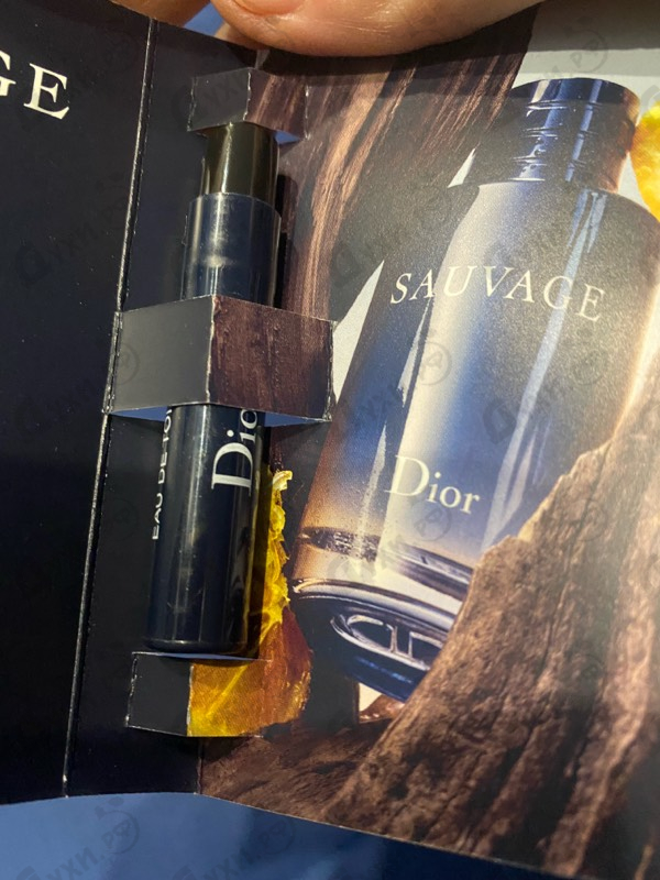 Парфюмерия Sauvage 2015 от Christian Dior