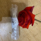 Духи Eclat De Fleurs от Lanvin