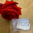 Парфюм Lanvin Eclat De Fleurs