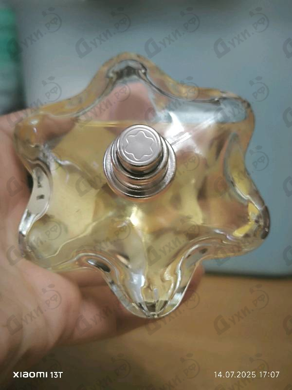 Купить Emblem от Mont Blanc