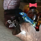 Отзыв Playboy Generation