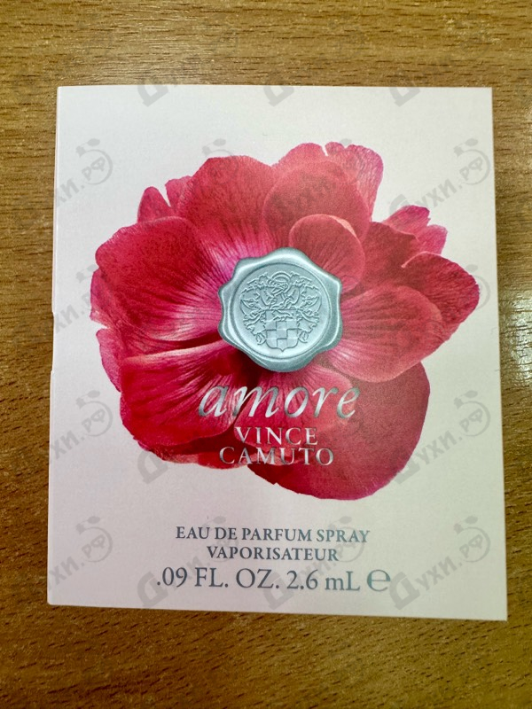 Купить Amore от Vince Camuto