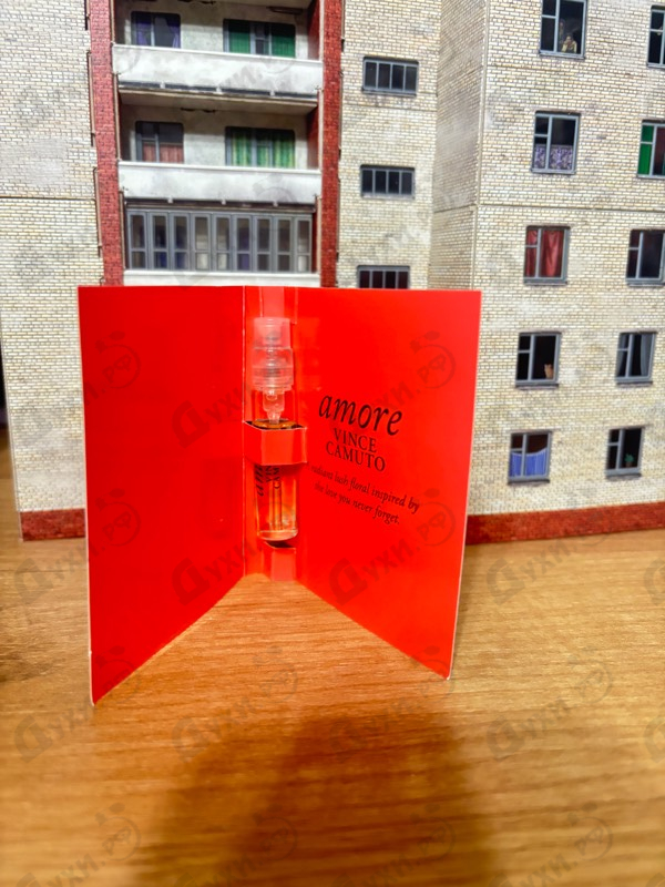 Купить Amore от Vince Camuto