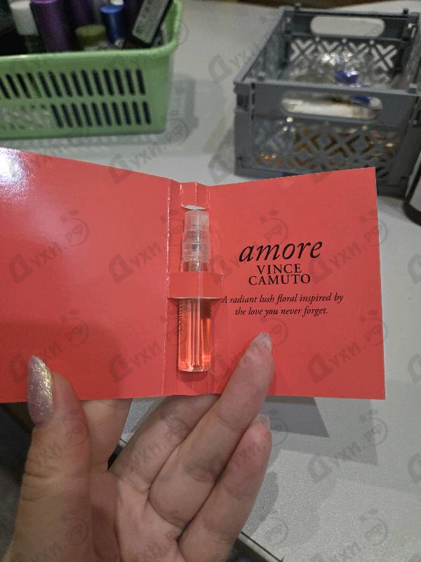 Духи Amore от Vince Camuto
