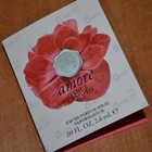 Парфюм Vince Camuto Amore