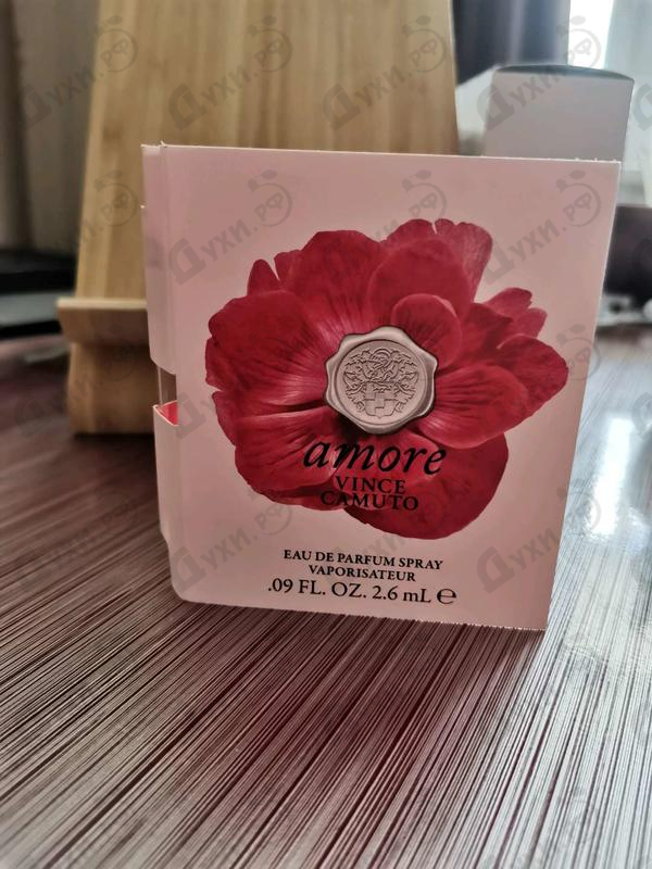 Купить Amore от Vince Camuto