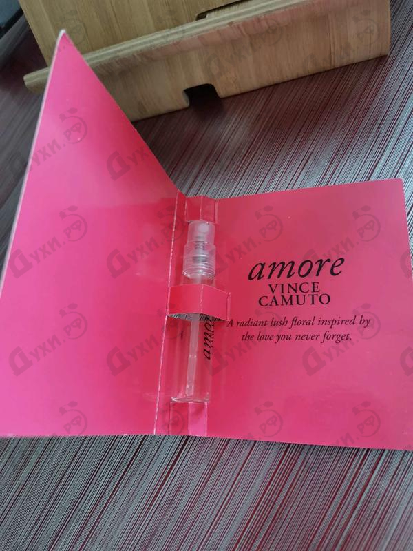 Купить Amore от Vince Camuto