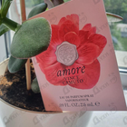 Отзывы Vince Camuto Amore