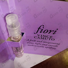 Отзывы Vince Camuto Fiori