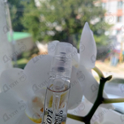 Отзывы Vince Camuto Fiori